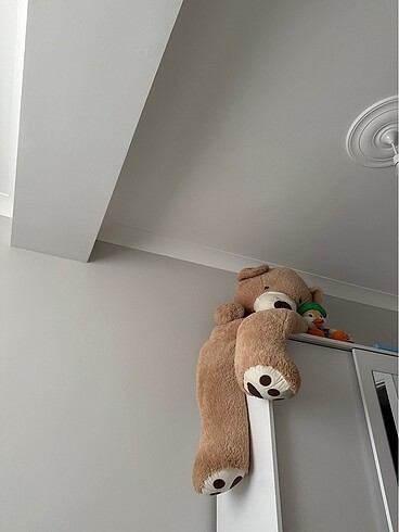 Peluş ayı