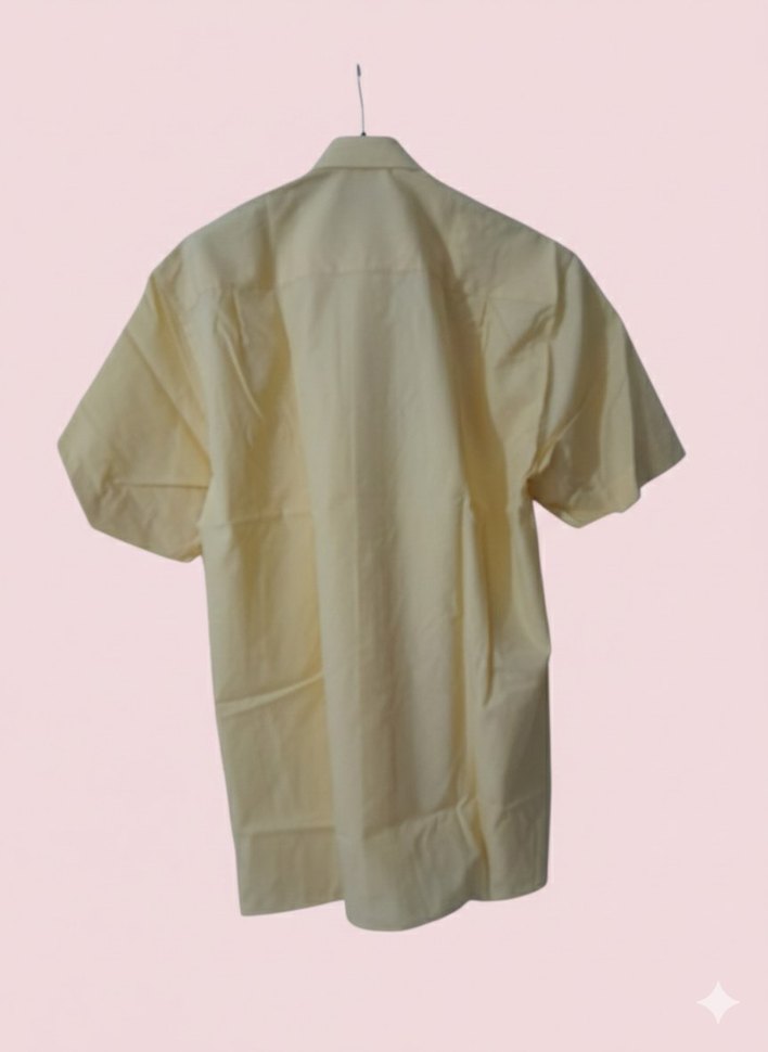 Sarı Kısa Kollu İş Gömleği EONARDO - Görsel 4