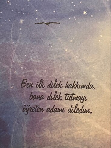  Beden Sınırsız Beyza Alkoç