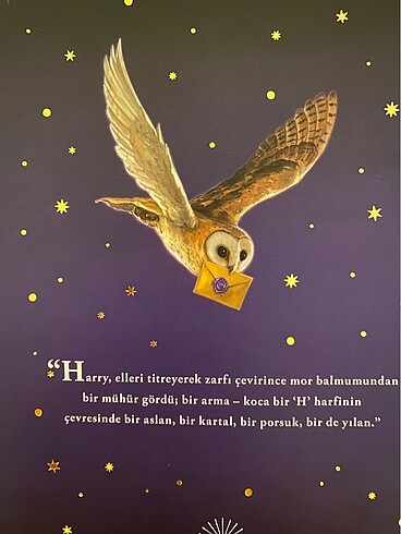  Beden Harry Potter Felsefe Taşı
