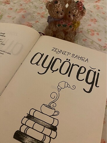  Beden Renk Ayçöreği kitabı