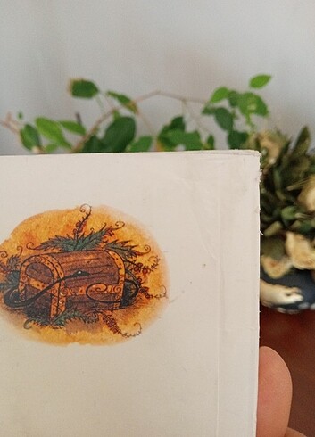 Define adasına dönüş 9 yaş ve üstü - Görsel 4