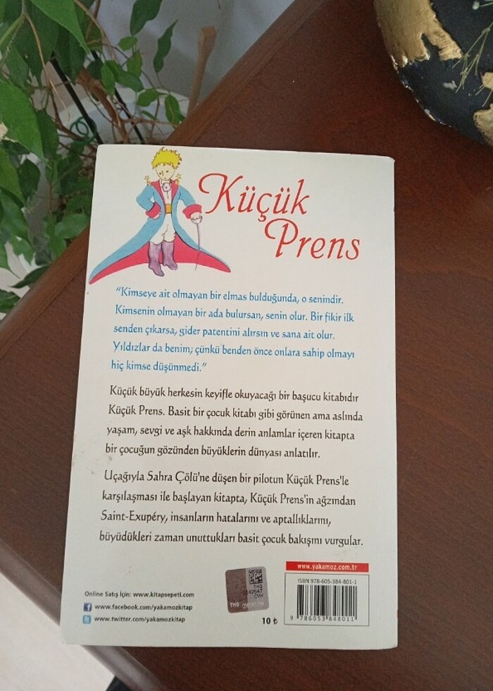 Küçük prens - Görsel 3