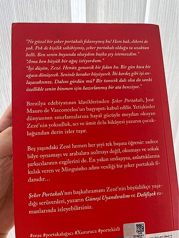  Beden şeker portakalı