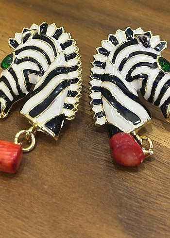 Mineli ve mercan Küpe - Görsel 2