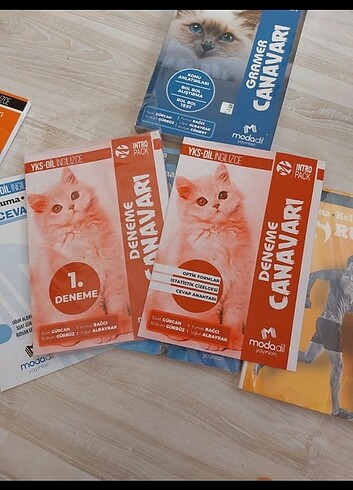 Modadil, ydt set, dilko, YDS publishing - Görsel 5