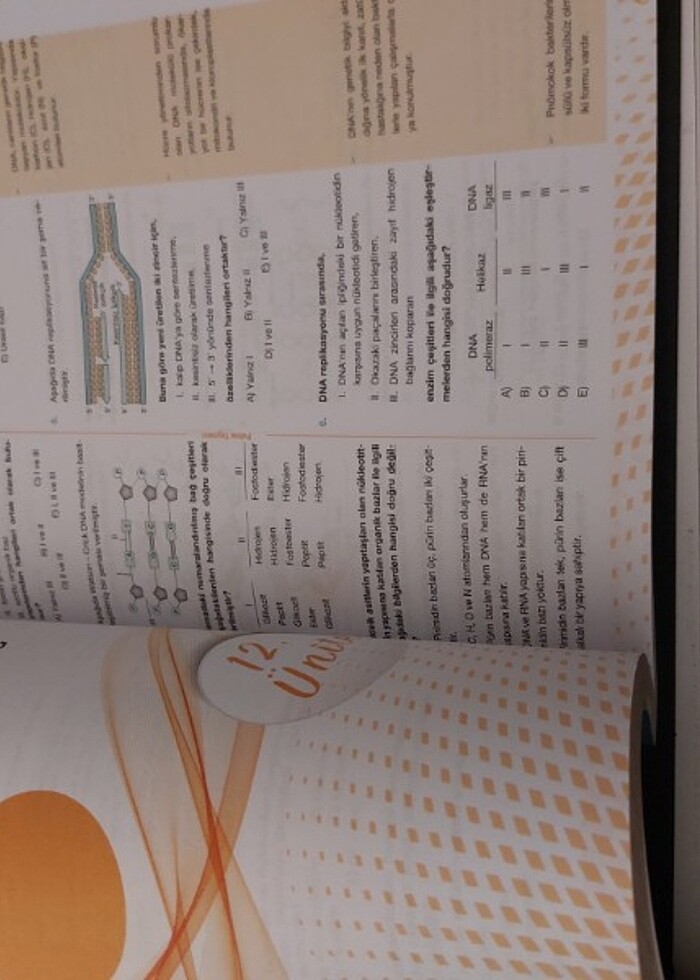 AYT Biyoloji Palme yayınları Soru bankas - Görsel 3