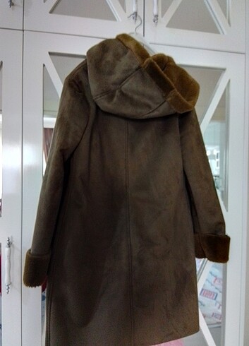 Bayan kaban - Görsel 2