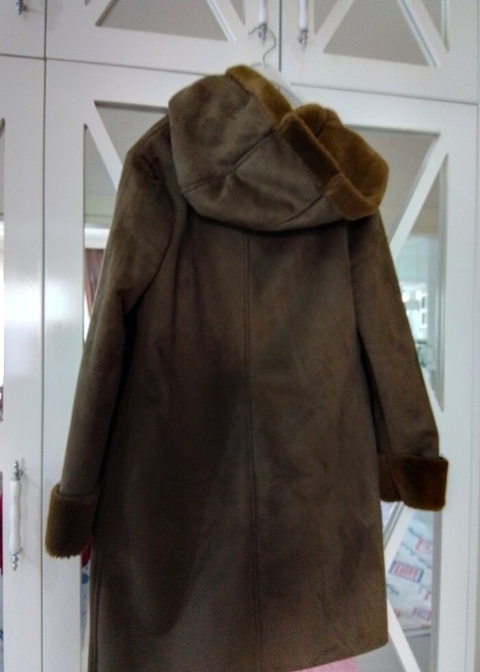 Bayan kaban  - Görsel 2