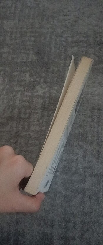  Beden Kitap Mantık-ut Tayr 