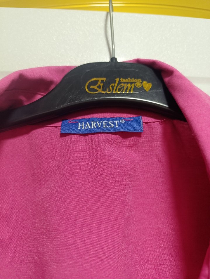 Pembe Düğmeli Kadın Gömlek - Görsel 2