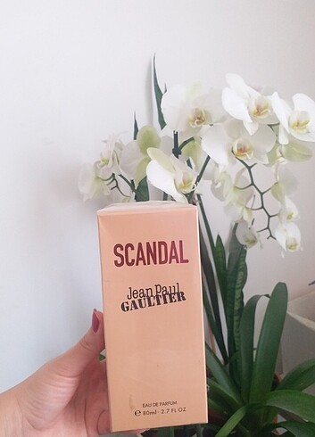 SCANDAL