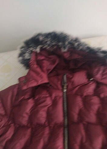 xl Beden bordo Renk Bayan mont