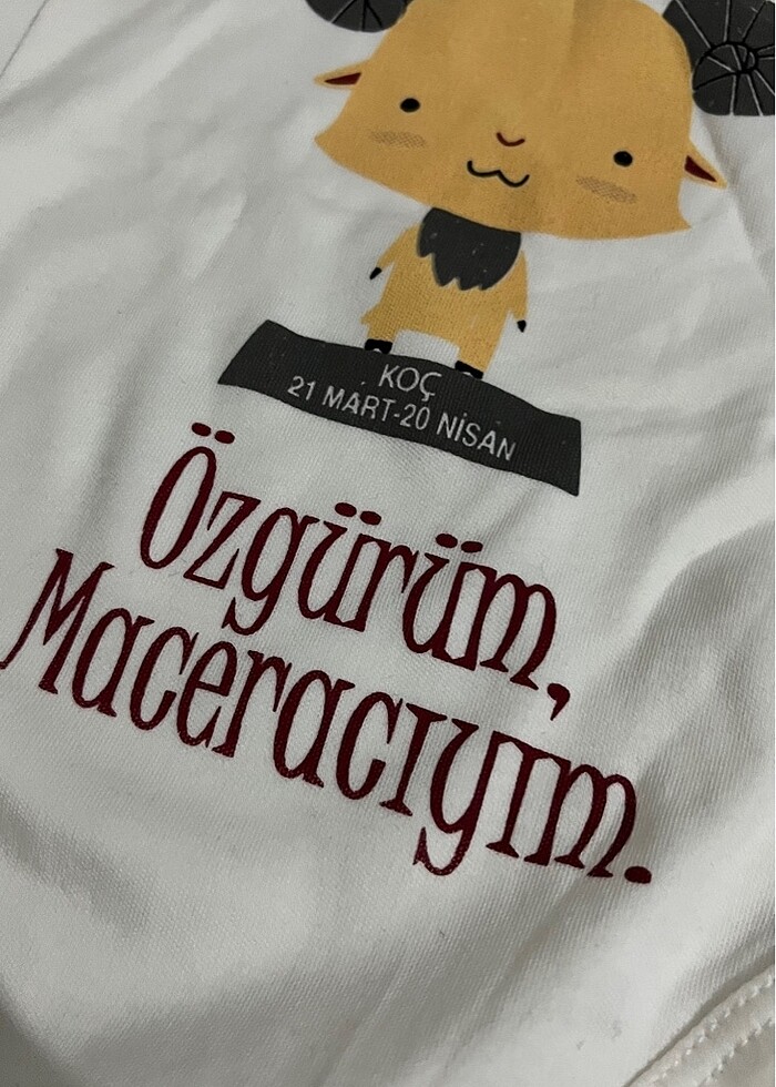 Koç burcu zıbın - Görsel 2