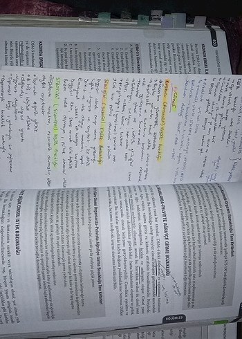 Ruh Sağlığı ve Hastalıklarında Temel Hemşirelik Bakımi