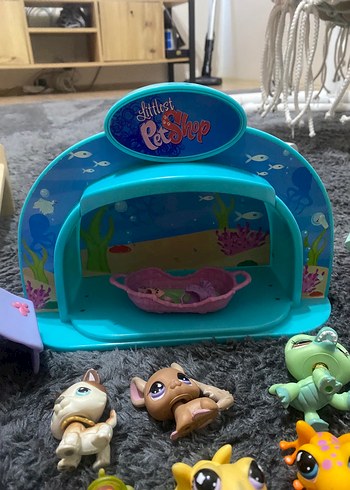 Beden Lps miniş petshoplar