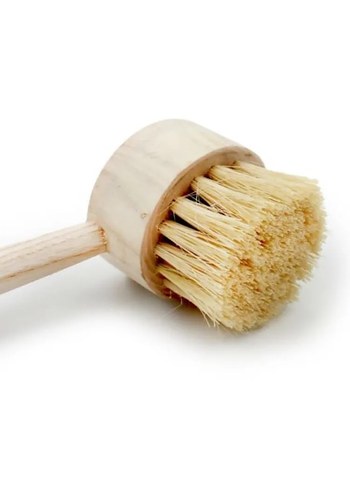 dığal kaktüs otlu mutfak temizleme fırçası - Görsel 3