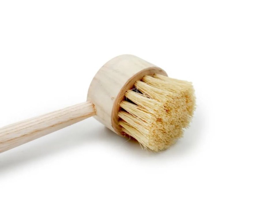 dığal kaktüs otlu mutfak temizleme fırçası - Görsel 3