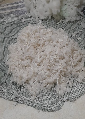 yikandi tiftiklendi adana pamugu beyaz isteyene yastik isteyene - Görsel 3