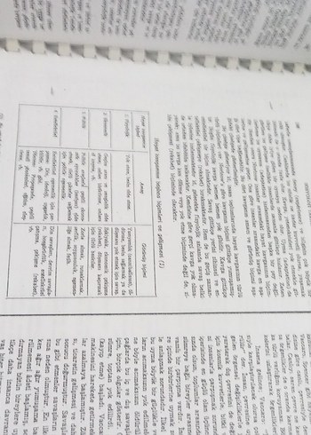 Sosyoloji Tarihi Kitabı Pdf- Nurettin Şazi Kösemihal - Görsel 6