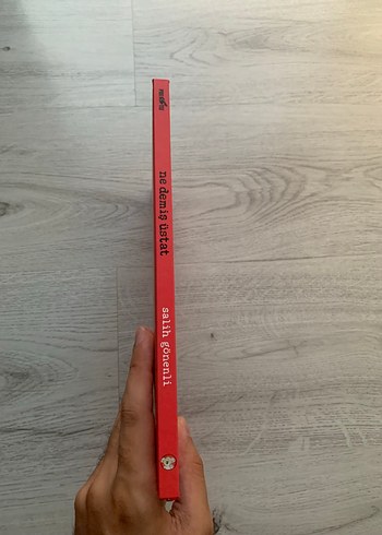 Ne Demiş Üstat Sert Kapak Çocuk Kitabı Çizgi Romanı - Görsel 2