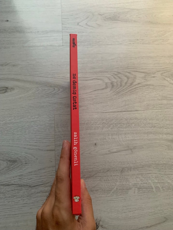 Ne Demiş Üstat Sert Kapak Çocuk Kitabı Çizgi Romanı - Görsel 2