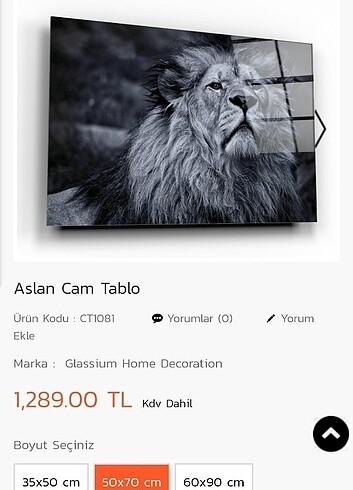 Cam tablo ikisi bir satışta 