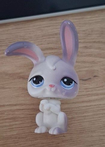 Lps Tavşan - Görsel 3