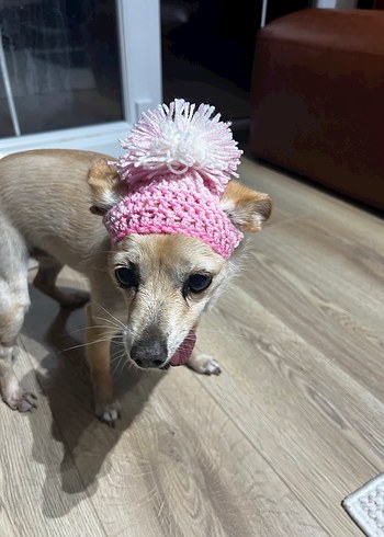 Pembe Köpek şapkası - Görsel 6