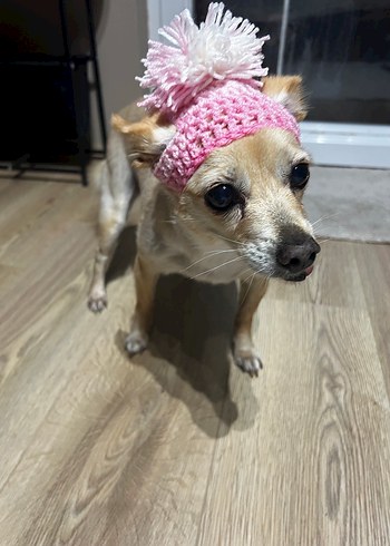 Pembe Köpek şapkası - Görsel 7