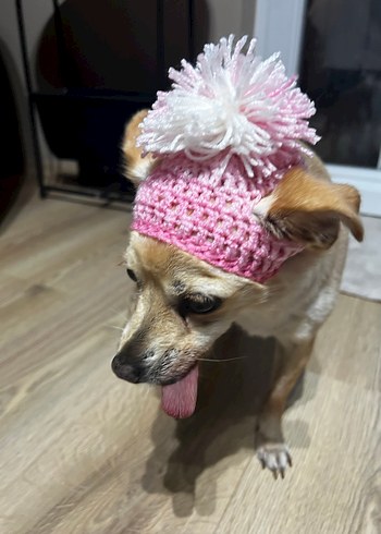 Pembe Köpek şapkası - Görsel 2