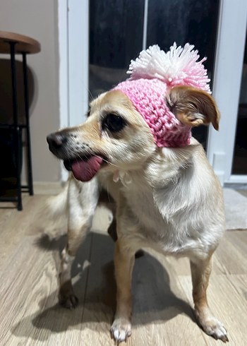 Pembe Köpek şapkası - Görsel 5