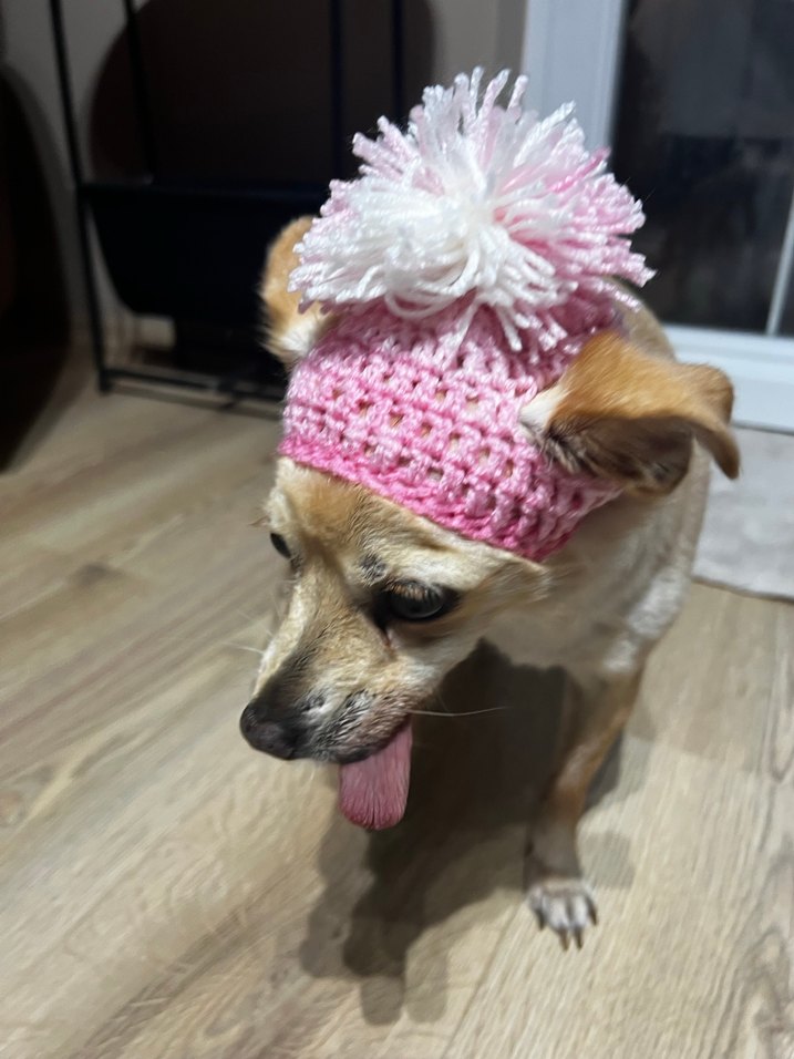 Pembe Köpek şapkası - Görsel 2