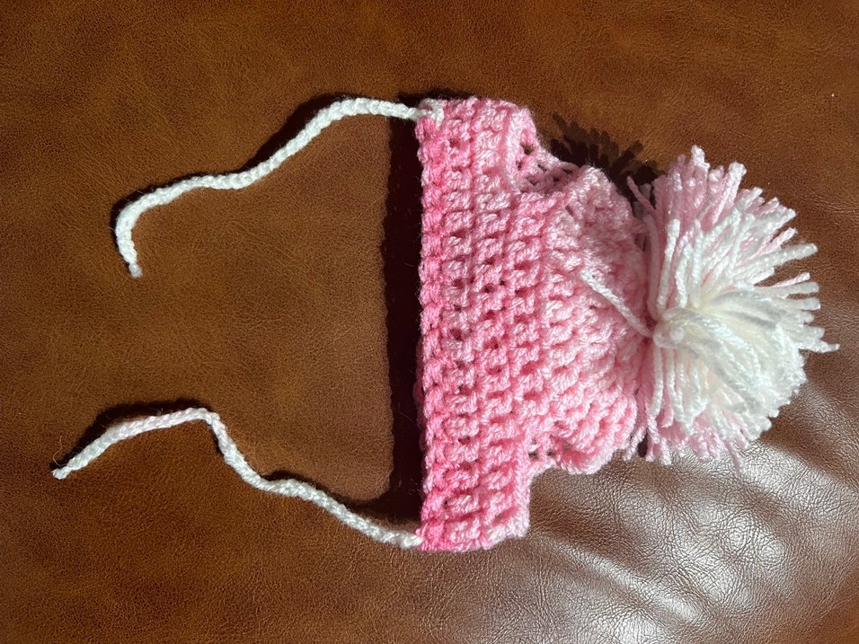 Pembe Köpek şapkası - Görsel 4