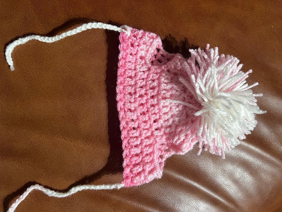 Pembe Köpek şapkası - Görsel 3