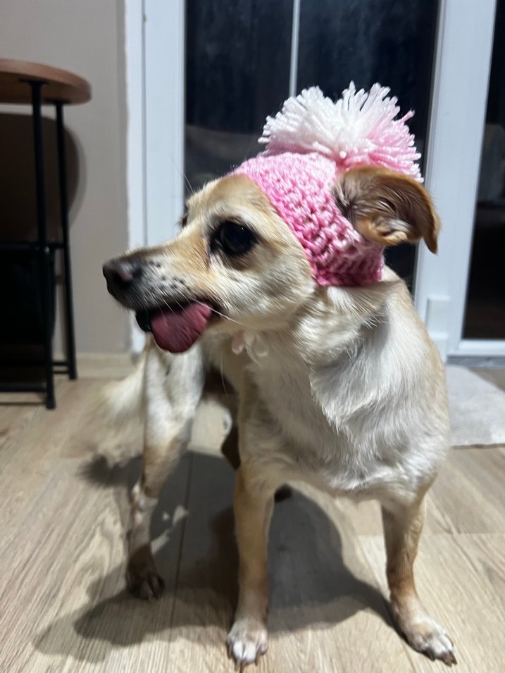 Pembe Köpek şapkası - Görsel 5