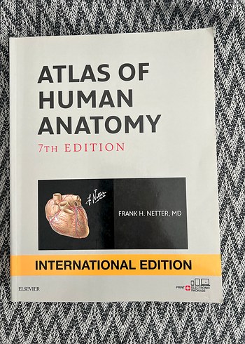 Netter Anatomi kitabı
