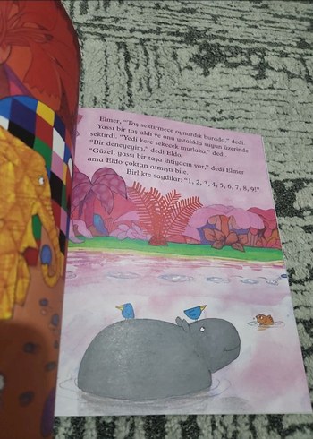 Elmer ve Büyükbaba Eld - Çocuk Kitabı - Görsel 3