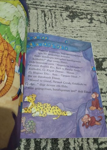 Elmer ve Büyükbaba Eld - Çocuk Kitabı - Görsel 2