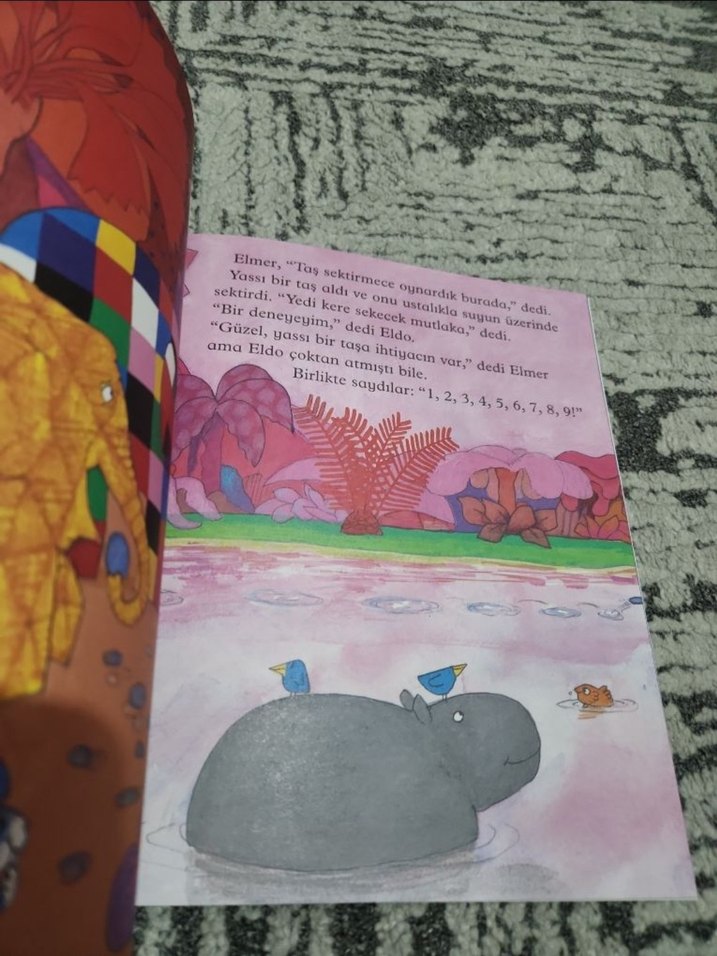 Elmer ve Büyükbaba Eld - Çocuk Kitabı - Görsel 3