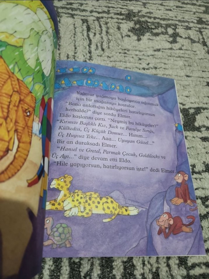 Elmer ve Büyükbaba Eld - Çocuk Kitabı - Görsel 2