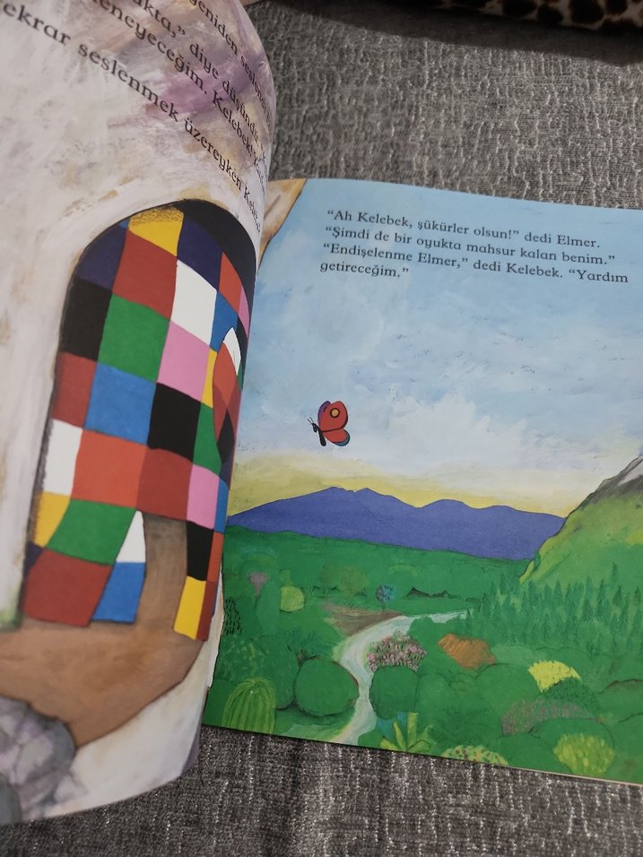 Elmer ve Kelebek - David McKee Çocuk Kitabı - Görsel 4