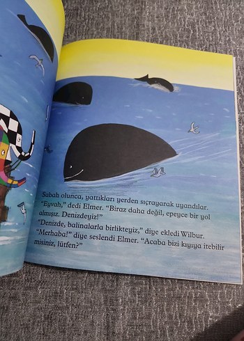 Elmer ve Balinalar - David McKee - Görsel 3