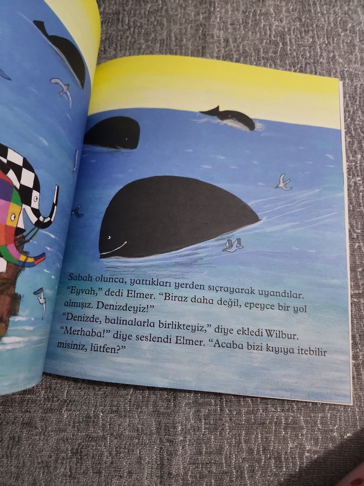 Elmer ve Balinalar - David McKee - Görsel 3