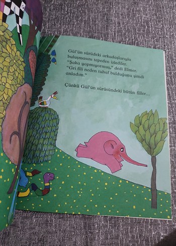 Elmer ve Gül - David McKee Çocuk Kitabı - Görsel 3