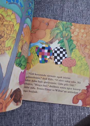 Elmer ve Gül - David McKee Çocuk Kitabı - Görsel 4