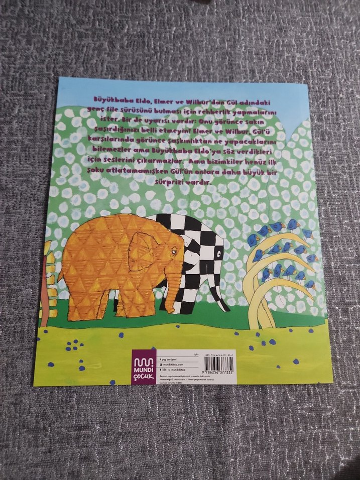 Elmer ve Gül - David McKee Çocuk Kitabı - Görsel 2