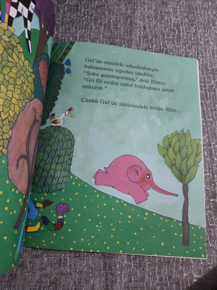 Elmer ve Gül - David McKee Çocuk Kitabı - Görsel 3