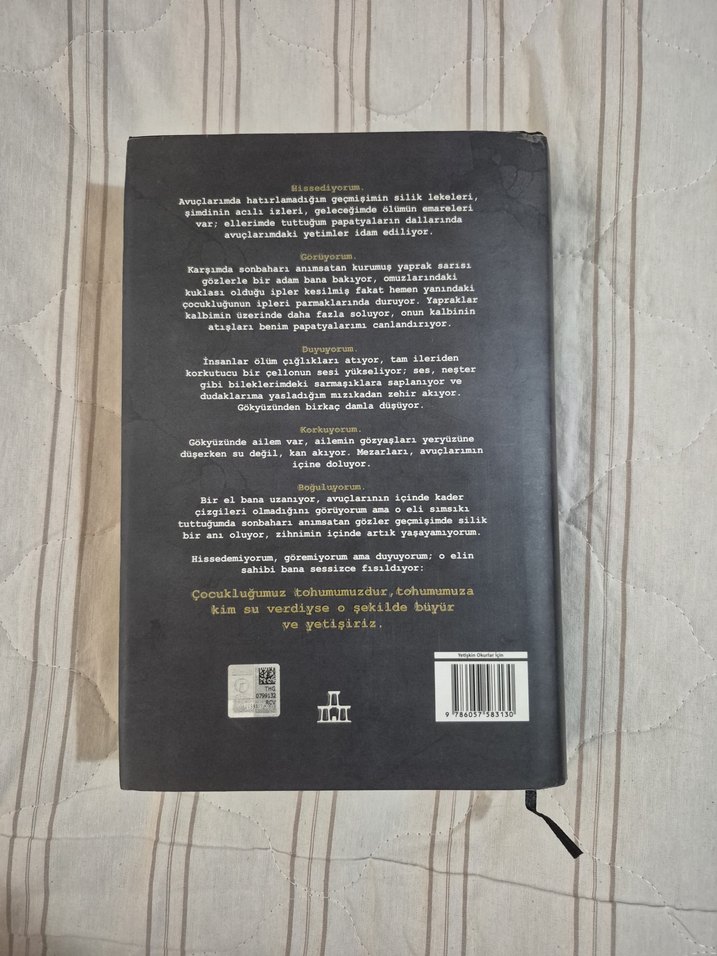 Emare Sarmasık - Aslı Arslan - Görsel 2