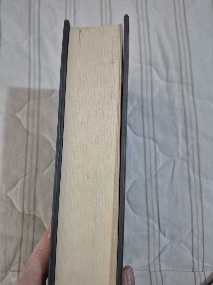 Emare Sarmasık - Aslı Arslan - Görsel 3